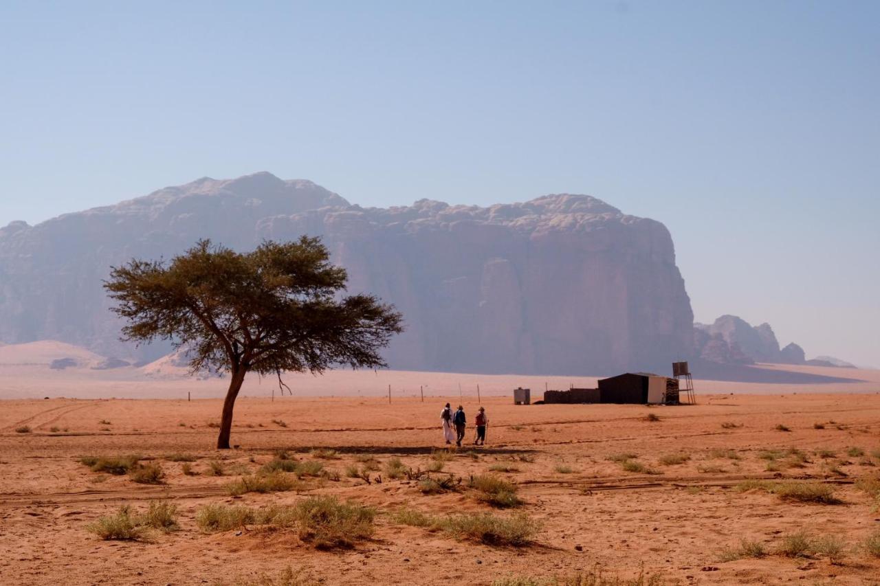 Wadi Rum Fig Tree Camp المظهر الخارجي الصورة